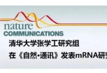 清華大學(xué)、哥倫比亞大學(xué)的研究人員開發(fā)出叫做mRIN的新方法