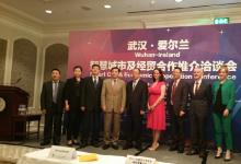 岳曉勇大使出席“武漢-愛(ài)爾蘭智慧城市及經(jīng)貿(mào)合作推介洽談會(huì)”