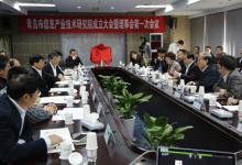 海信集團(tuán)三大產(chǎn)業(yè)助力青島市信息技術(shù)發(fā)展