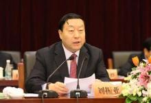 國家電網(wǎng)公司董事長、黨組書記——劉振亞