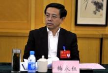 濟(jì)寧市市長梅永紅或出任華大基因CEO