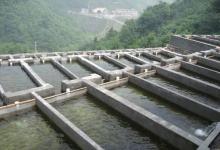 自動(dòng)化代替人工 韓國(guó)公司將物聯(lián)網(wǎng)技術(shù)用于鰻魚養(yǎng)殖