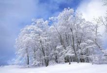 “冰雪自動(dòng)化業(yè)務(wù)觀測(cè)方法研究”通過(guò)項(xiàng)目測(cè)試