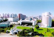沈陽自動(dòng)化所研發(fā)的“數(shù)字化底吹爐智能熔煉技術(shù)”通過成果鑒定