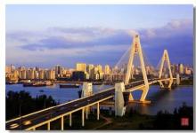 海口市啟用應用型無人機參與市政市容執(zhí)法