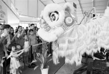 佛山啟動(dòng)廣東首個(gè)互聯(lián)網(wǎng)+創(chuàng)新創(chuàng)業(yè)示范市建設(shè)