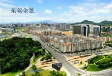 凌琳：東莞市場今后每年應(yīng)用機器人的增加值在80億元左右