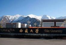 中科院自動化研究所專家組一行與西藏大學(xué)教師進行學(xué)術(shù)交流