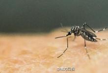 專家采用高通量測序技術(shù)，獲得寨卡病毒全基因組序列