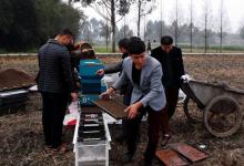 彭山區(qū)水稻育苗將逐步實(shí)現(xiàn)機(jī)械化