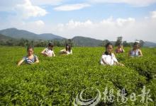 揭陽(yáng)市“互聯(lián)網(wǎng)＋農(nóng)業(yè)”發(fā)展論壇舉行