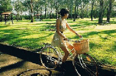 電動自行車：混合動力