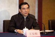 王安順會見德國西門子股份公司總裁