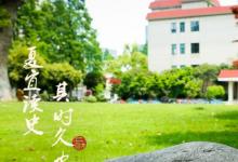 解放日報對話上海財大崔麗麗:在線新經(jīng)濟