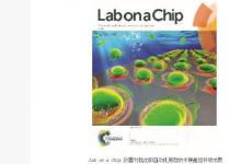 沈陽自動化所在藻類細胞微型機器人研究中取得進展